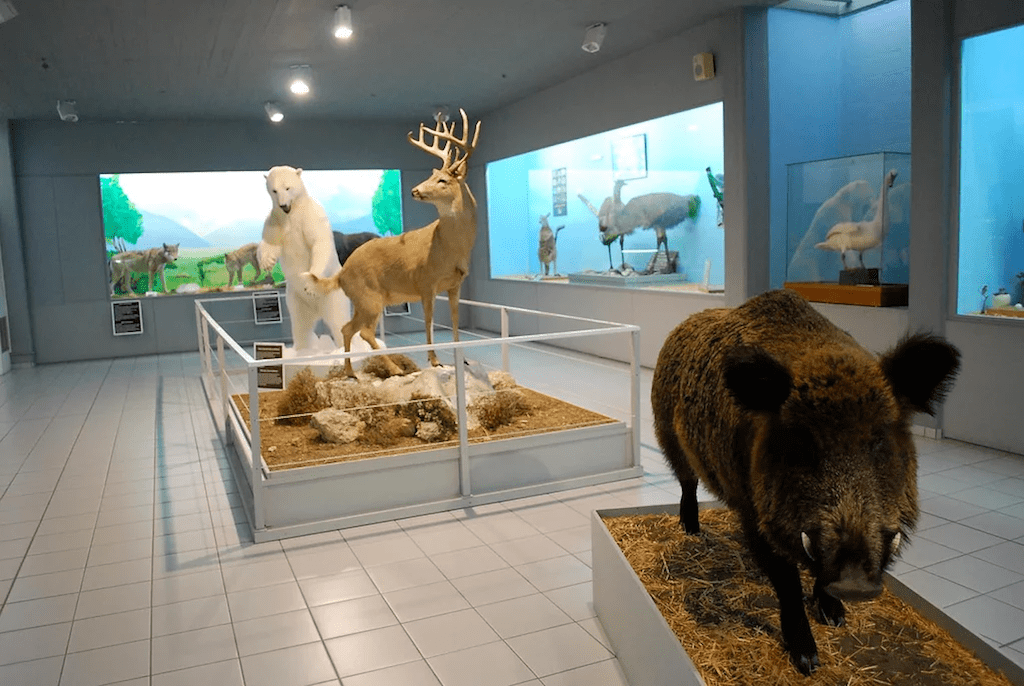 Samos museum